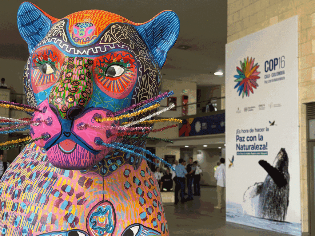 jaguar parade na cop 16 em cali, na colombia