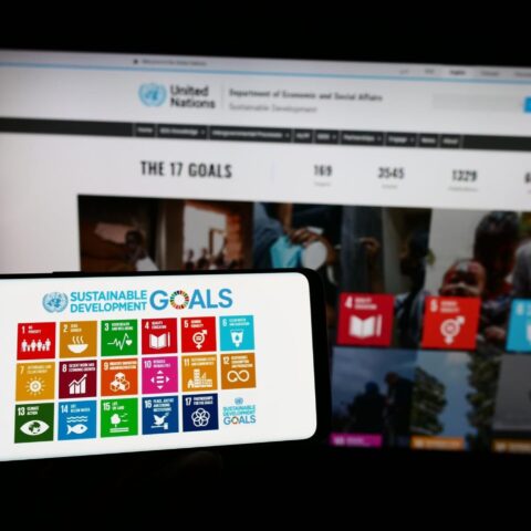 jaguar parade e objetivos de desenvolvimento sustentável ONU ods