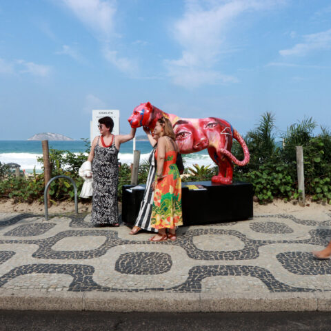 ‘Jaguar Parade’ Artistic Conservation Movement Saving Jaguars and Habitats